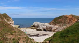 Rock formations that resemble animals seen on Yorkshire Coast in UK