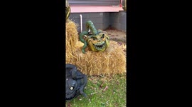 Papier-mâché artist gives a tour of her 'Petrified Pumpkin Patch' *She put her heart into it!*