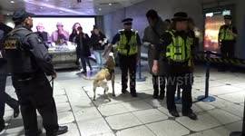 Playful police dog spooks a passenger on London tube