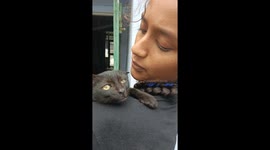 Cat obeys the words of its owner and follows the instructions perfectly in India