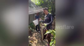 Rescuers catch huge 15ft-long python in family's back garden