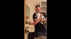 Protective cat gets FURIOUS at man 'attacking' its owner