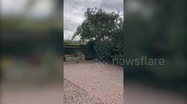 Furious gran blasts developers who ripped out 20ft-high hedge leaving her with view of