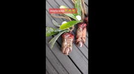 Woman who 'isn't fan of Christmas' creates 'mistle-TOES'