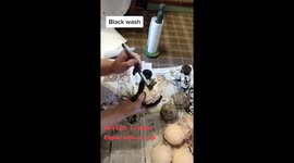 Woman who 'isn't fan of Christmas' creates 'foreskin BAUBLES' and 'mistle-TOES' for sale Part 4