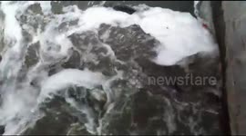 Long python violently dragged by water vortex gets rescued by passerbys