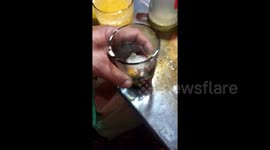 Indonesian tea egg drink believed to boost drinker's stamina