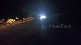 Elephant strays in the middle of road in northeastern India
