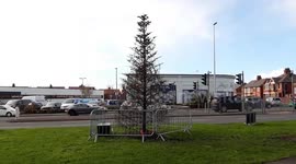 Residents have blasted council for putting lights on their Christmas tree – despite it looking “dead”