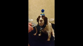 Oscar's 14th birthday