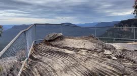 Amazing panorama of famous Blue Mountains, Australia