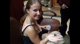 Pretty girl is playing with scarab in Egypt