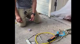 Using fire starter and lint from dryer. Great for lighting a fire. Easy to get and make a lot of.