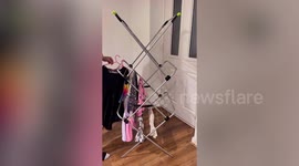 Mum reveals laundry hack to avoid ironing any clothes – by putting her washing on hangers on her airer