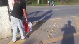 Large wild python shocks drivers when it was seen coiled around road sign in Thailand
