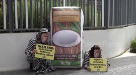 Animal rights activists dress as chained monkeys outside coconut milk factory in Thailand