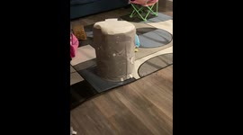 Happy-go-lucky little girl hides in a laundry bag