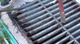 Newborn kitten stuck under dirty sewers rescued in Thailand