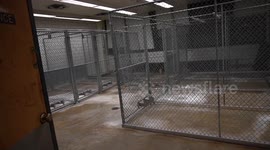 ‘I found a creepy abandoned animal testing facility with BRAINS left behind,’ reveals woman, 25.