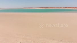 Amazing and rare video of drone footage in Francois Peron National Park