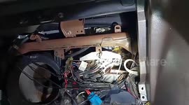 Enormous 13ft-long python found hiding inside car dashboard in Thailand