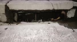 Trapped kitten rescued and adopted after falling into storm drain in Thai market