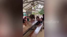 Smart baby elephant asks tourists for bottled milk in Thailand