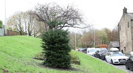 Villagers have blasted civic chiefs for spending £1,450 on a Christmas tree that stands at just SIX FEET tall