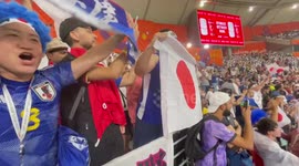 Japanese fans go crazy after their team shocks Germany in World Cup