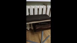 Instead of lying on a chair, this cat rests on warm radiators