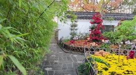 The Orchid Garden At Ningbo Botanical Garden in Ningbo, China