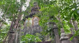 Hikers find abandoned Buddhist temple nestled deep in Thai forest