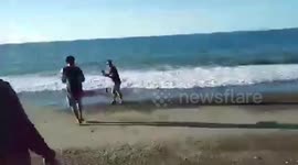 Injured striped dolphin rescued after washing ashore in the Philippines