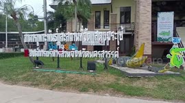 Crocodile bites veteran trainer in front of terrified spectators during show in Thailand