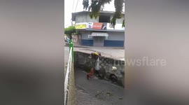 Kind cyclist rescues stray dog stuck in dirty canal in Colombia