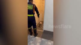 Sound on! Firemen catch deadly king cobra hissing at them inside resident’s toilet