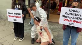 PETA activist 'painfully' sheared outside Urban Outfitters shop in London