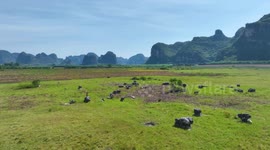 Qiantang Wetland Park in Nanning, China