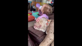 'They light up our lives' - Toddler shows 'ruthless' love to her snoring English Bulldog