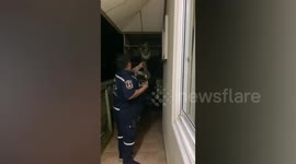 Huge python that preyed on family's pet cats caught in house in Thailand