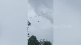 Angry swarm of wasps attack drone