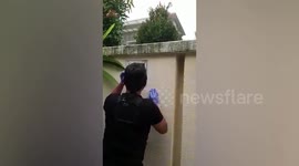 Venomous snake curls up in resident's letter box in Singapore