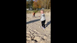 Toddler learns that carrying rocks on beach isn't a walk in the park