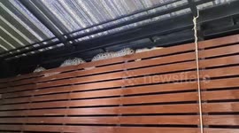 Hungry 12ft long python caught after slithering into family's home looking for food