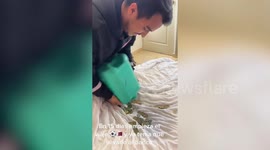 Football fan saves more than £1,300 in coins for two years to attend Qatar World Cup