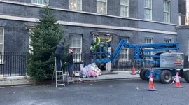 10 Downing Street gets ready for Christmas with giant tree