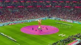 England vs USA opening ceremony fan view