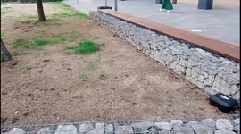 mouse invasion