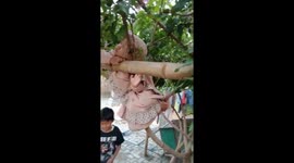 Jaw-dropping! Toddler found sleeping in tree