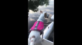 Lady Belle is Queen of the lake in her pink life vest and boating.